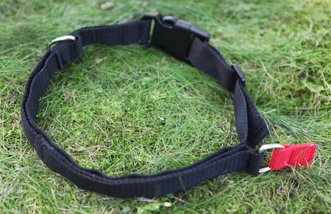 Catch-A-Collar