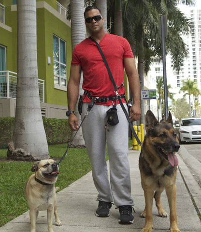 Multi-Mode Leash